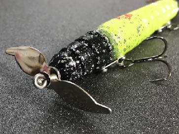 crazy_worm_mg_18_07_09.002.jpg