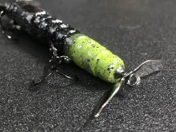 crazy_worm_mg_18_07_09.203.jpg