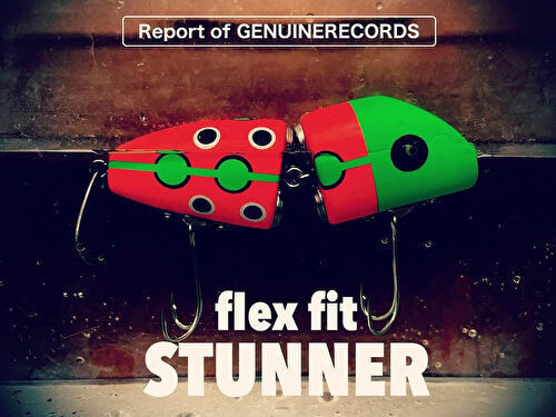 new_flex_fit_stunner.07.jpg