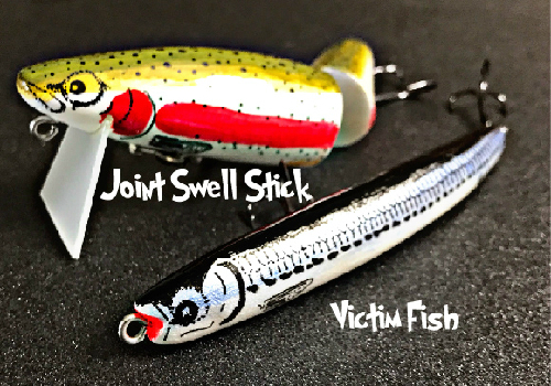 new_joint_swell_stick.victim_fish.02.jpg