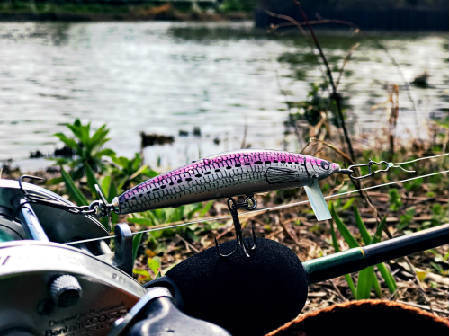 new_kobold_st_minnow.101.jpg