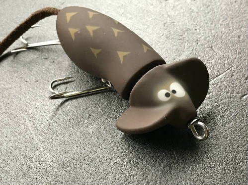 new_spindle_mouse_kdm.001.jpg