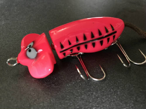 new_spindle_mouse_pkb.001.jpg