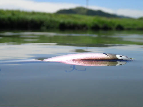 new_victim_fish.402.jpg